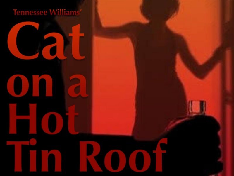 tinroofticket tinroofticket